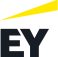 ey organization